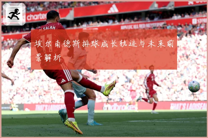 埃尔南德斯排球成长轨迹与未来前景解析