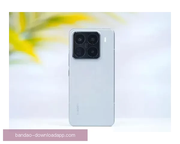 世界杯竞猜赔率平台最新分析与胜负预测全面指南
